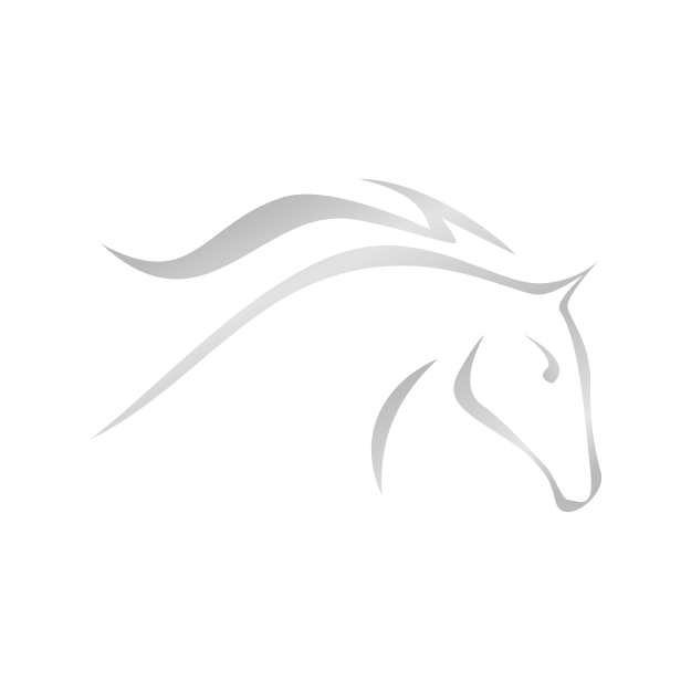 Police Sports Federation Practice Show Jumping Competition